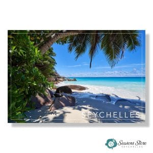Seychelles Postcard 10cm * 15cm Beach Under Coconut Tree Shade View (Written with Stamps)
